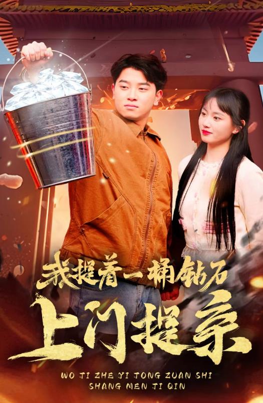 我提着一桶钻石上门提亲全集