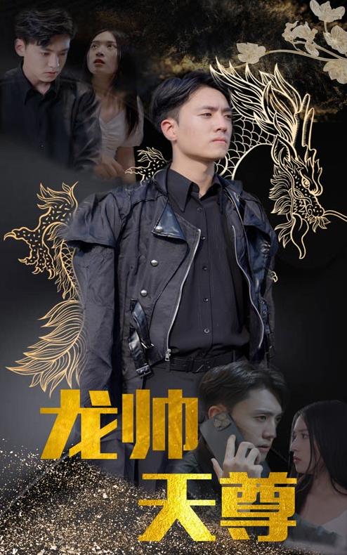 龙帅天尊全集
