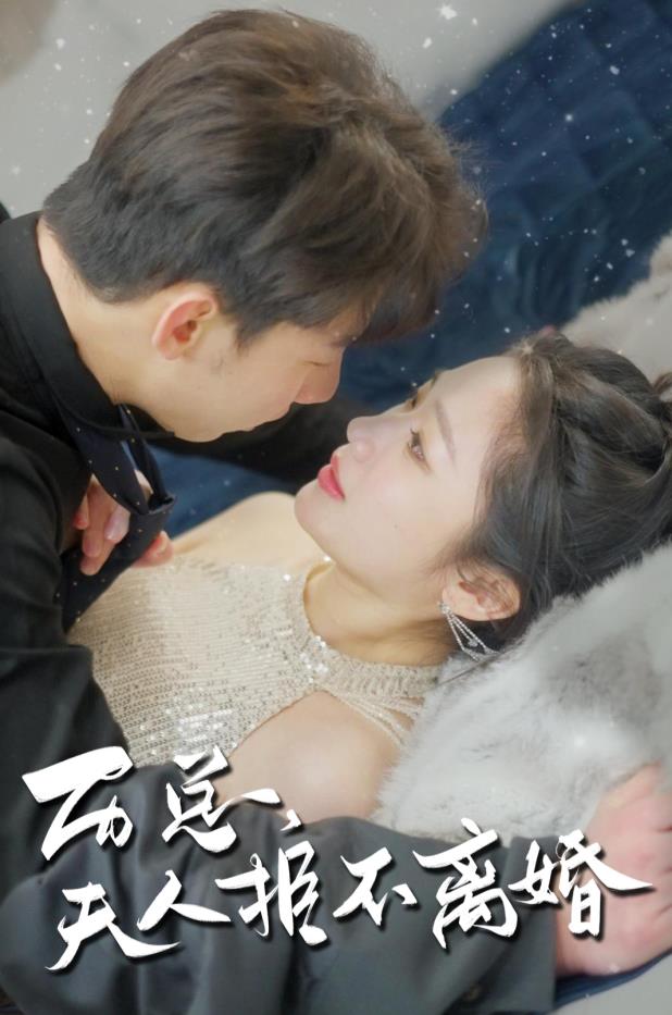 历总，夫人拒不离婚全集