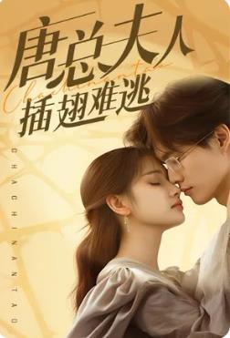 唐总夫人插翅难逃全集