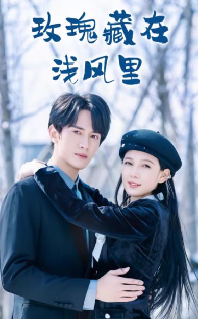 玫瑰藏在浅风里全集