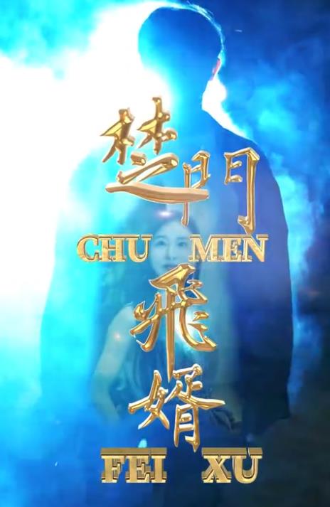 楚门飞婿全集