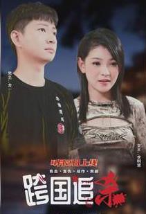 跨国追杀全集