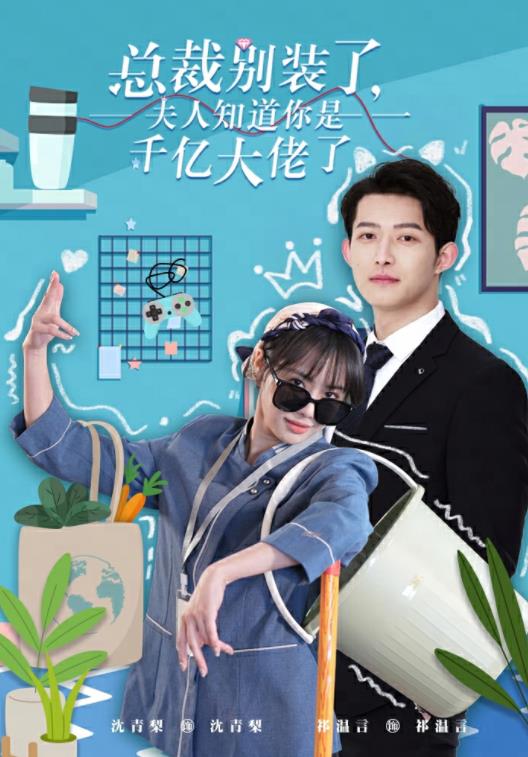 总裁别装了，夫人知道你是千亿大佬了全集