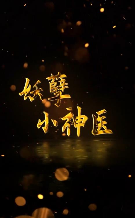 回村小伙是侠医全集