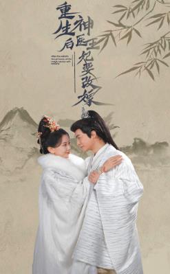 重生后神医王妃要改嫁全集