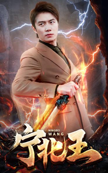 宁北王全集