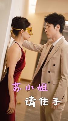 苏小姐请住手全集