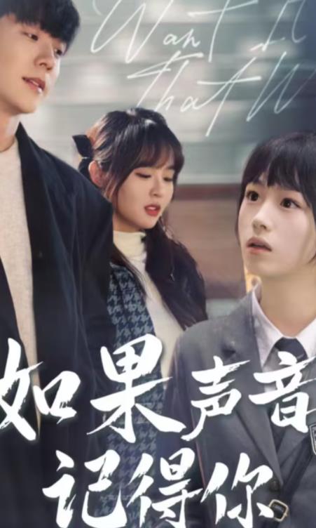 如果声音记得你全集