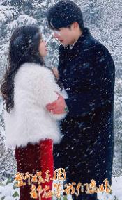 整个娱乐圈都在等我们离婚全集