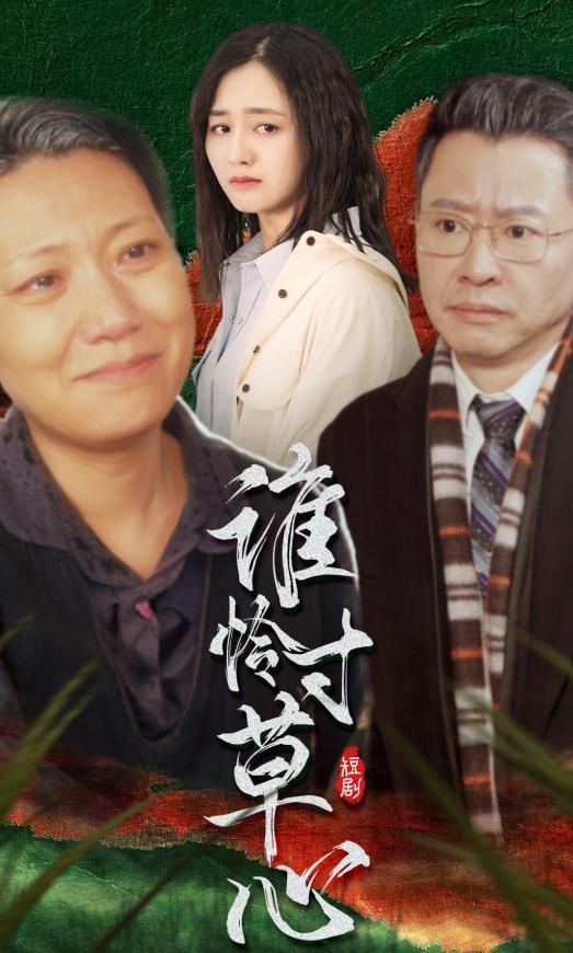 谁怜寸草心全集