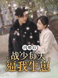 闪婚后战少每天逼我生崽全集
