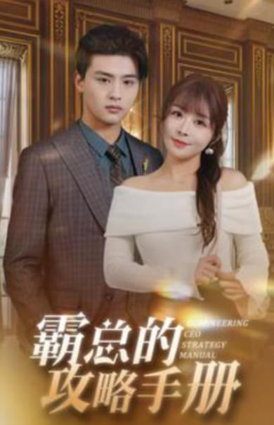 霸总的攻略手册全集