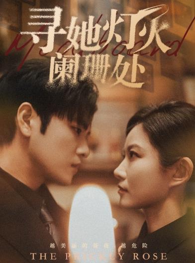 寻她灯火阑珊处全集