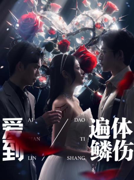 爱到遍体鳞伤全集