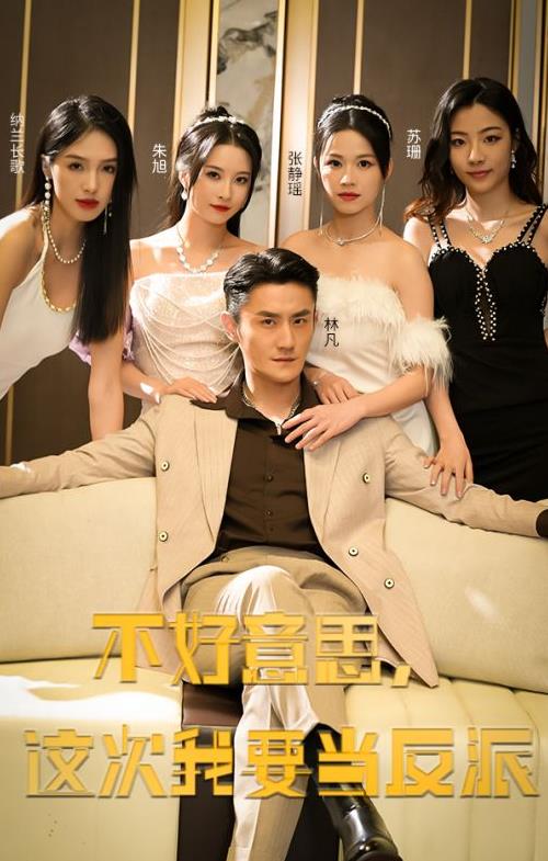 不好意思，这次我要当反派全集