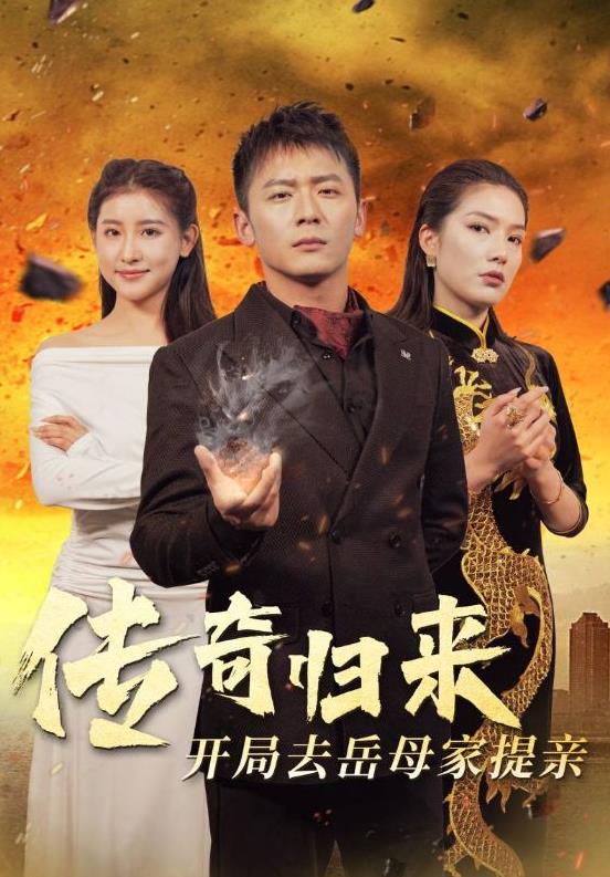 传奇归来开局去岳母家提亲全集