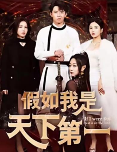 假如我是天下第一全集