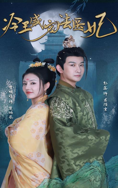 新版：冷王盛宠法医妃全集