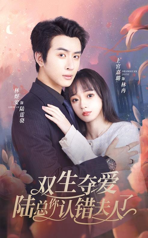 双生夺爱陆总你认错夫人了全集