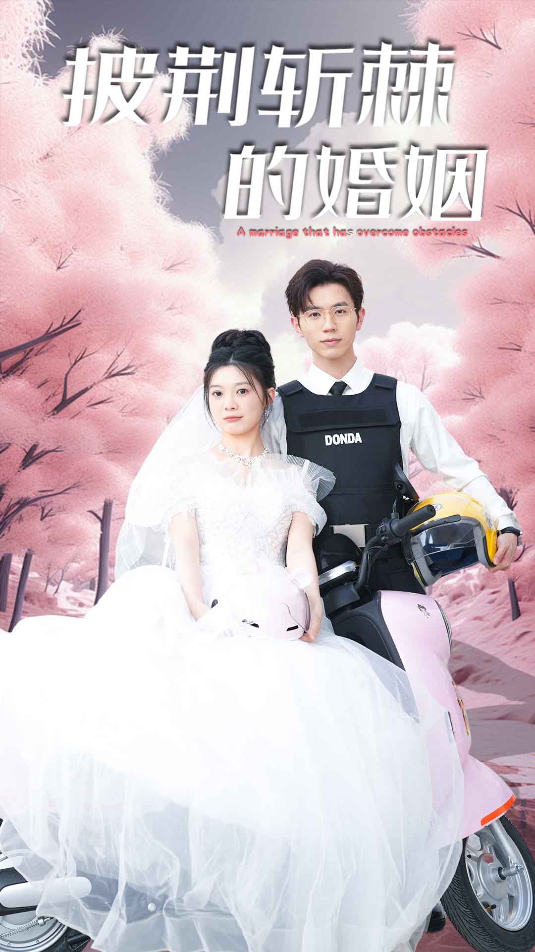 新版：披荆斩棘的婚姻全集