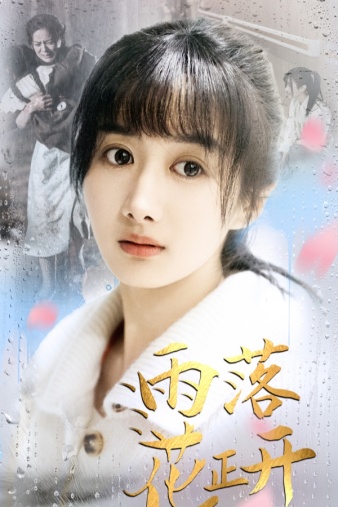 雨落花正开全集