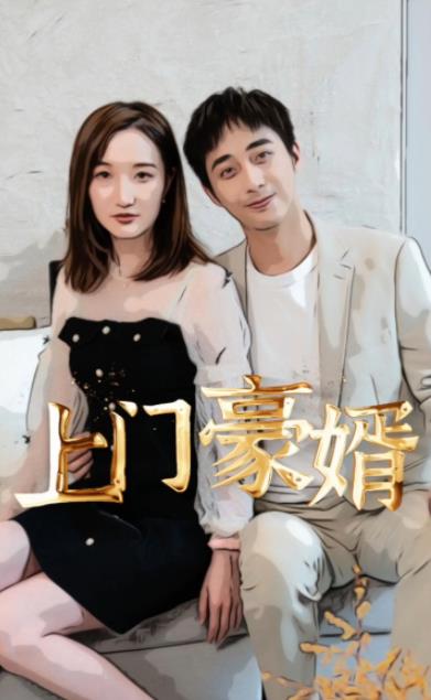 新：上门豪婿全集