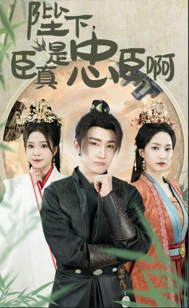 陛下，臣真是忠臣啊全集