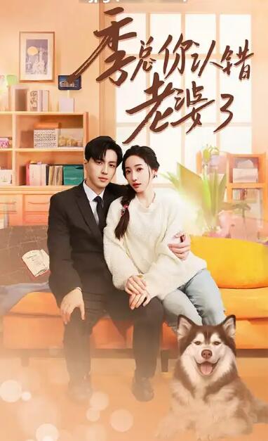 季总你认错老婆了全集