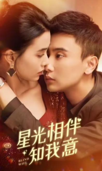 星光相伴知我意全集