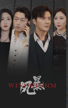 风暴2024全集