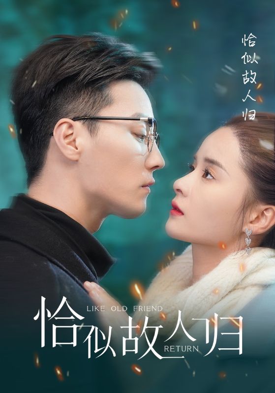 恰似故人归全集