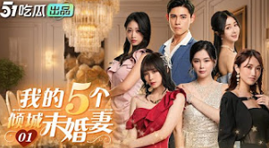 我的5个倾城未婚妻全集