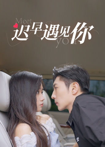 迟早遇见你全集
