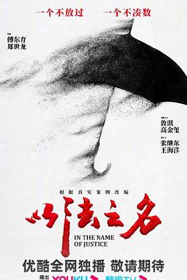 以法之名全集
