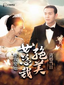 离婚当日，绝美女总裁求我娶她全集
