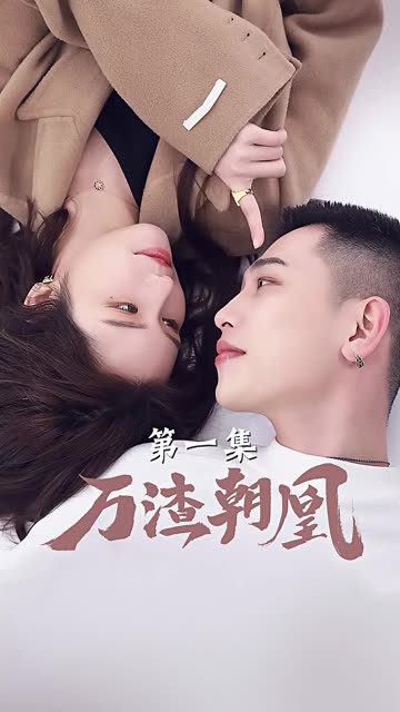 万渣朝凰全集