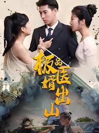 极品医婿出山全集