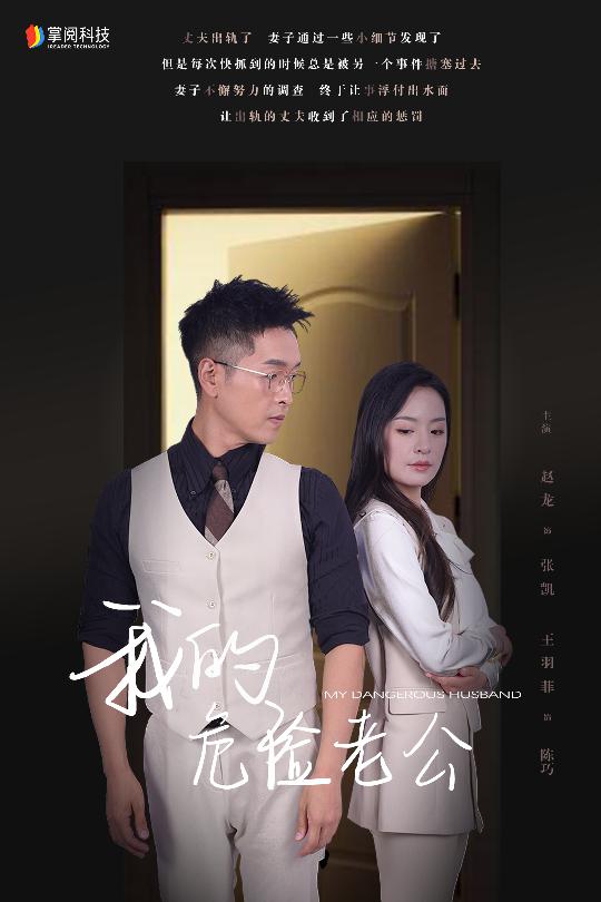 我的危险老公全集