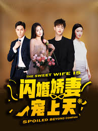 闪婚娇妻宠上天全集