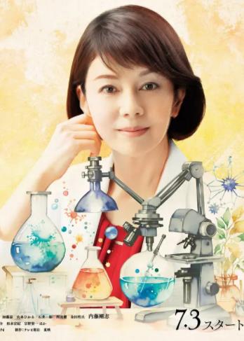 科搜研之女第24季全集