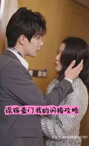 误嫁豪门我的闪婚攻略全集