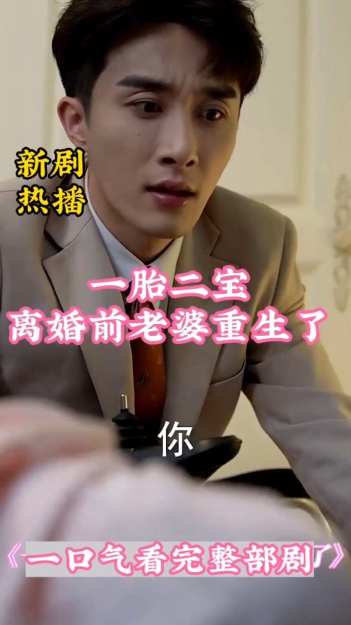 一胎二宝：离婚前老婆重生了全集