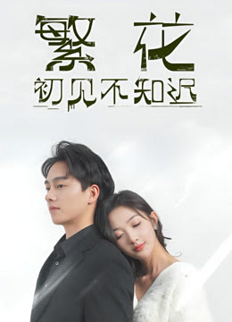 繁花初见不知迟全集