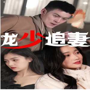 龙少追妻全集