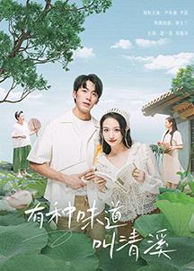 有种味道叫清溪全集