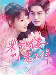 裴爷娇妻惹不得全集