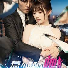 惹不起的她全集