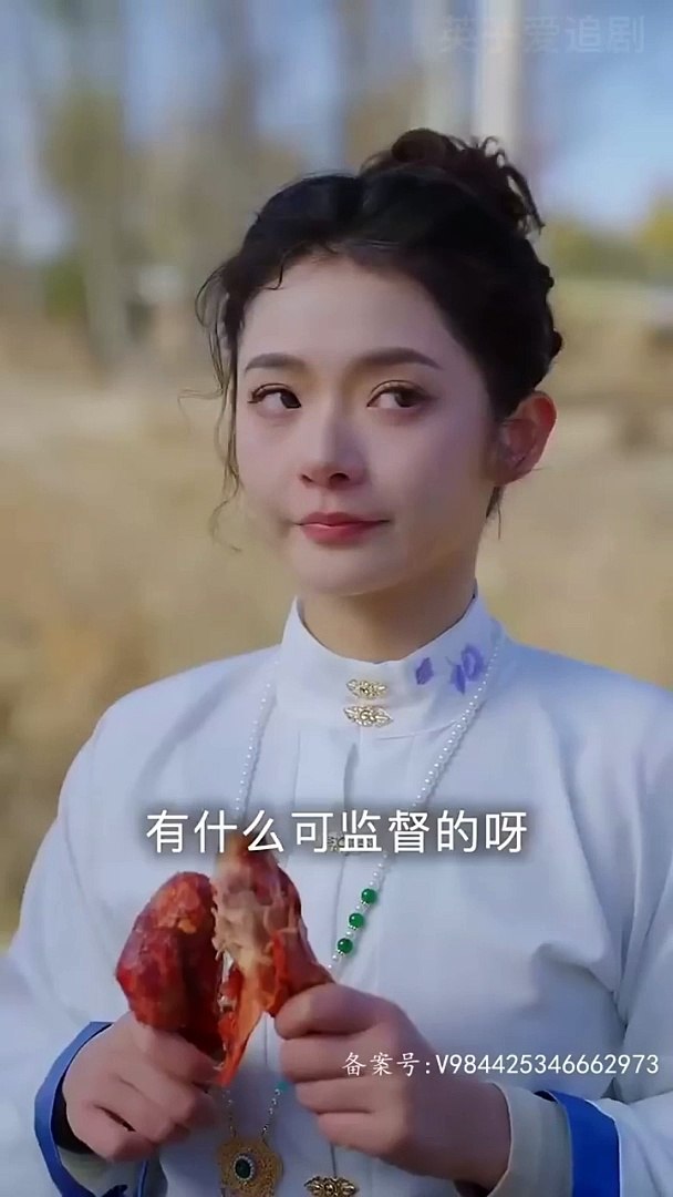 我的野蛮女将军全集