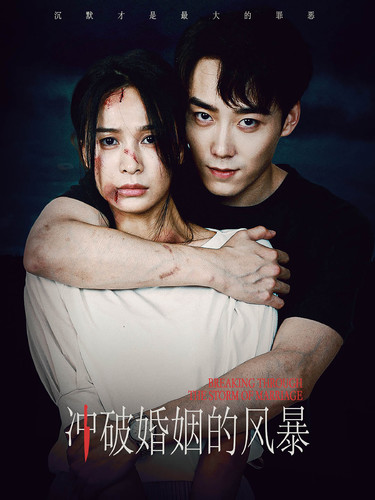 冲破婚姻的风暴全集